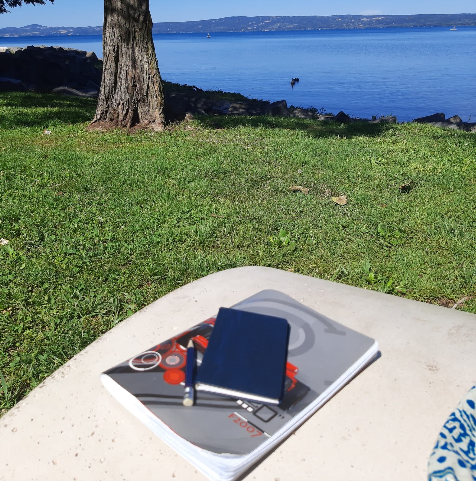 Immagine rappresentativa della news Curiosità su di me? Sono <em>antica</em>