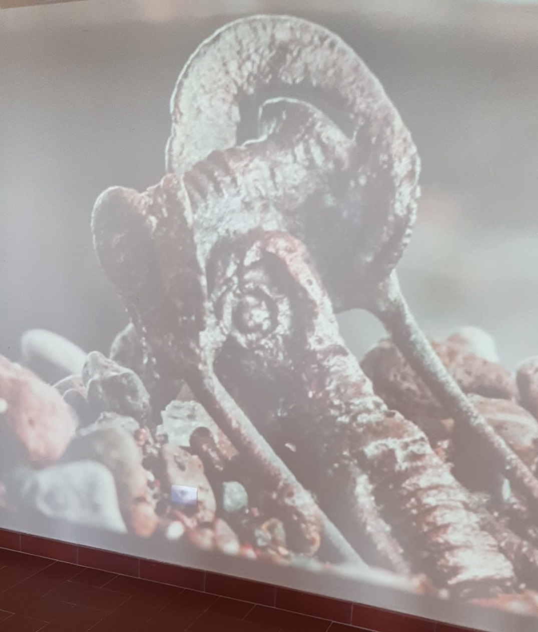 Immagine rappresentativa della news Sindrome di Stendhal o Ispirazione?